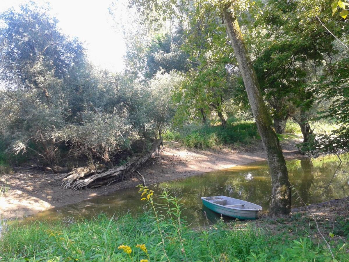 70Qm Wohnung, 76771 Hoerdt, Naturschutzgebiet, Rheinland-Pfalz Hordt Buitenkant foto