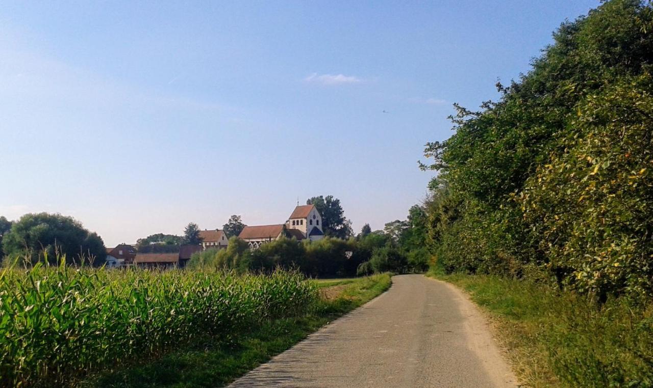70Qm Wohnung, 76771 Hoerdt, Naturschutzgebiet, Rheinland-Pfalz Hordt Buitenkant foto