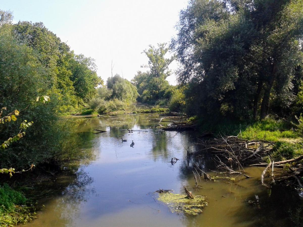 70Qm Wohnung, 76771 Hoerdt, Naturschutzgebiet, Rheinland-Pfalz Hordt Buitenkant foto